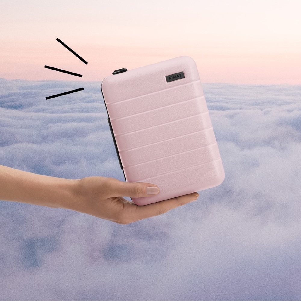 Away Mini Travel Case